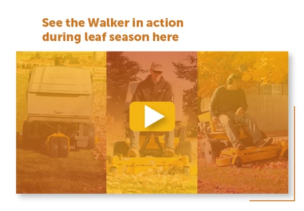 2_Design File_Walker eNews 2022-11_Email Video-02