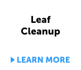 feature - leaf cleanup - click to learn more
