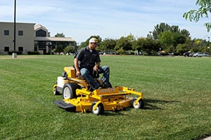 Timberline Photo 6