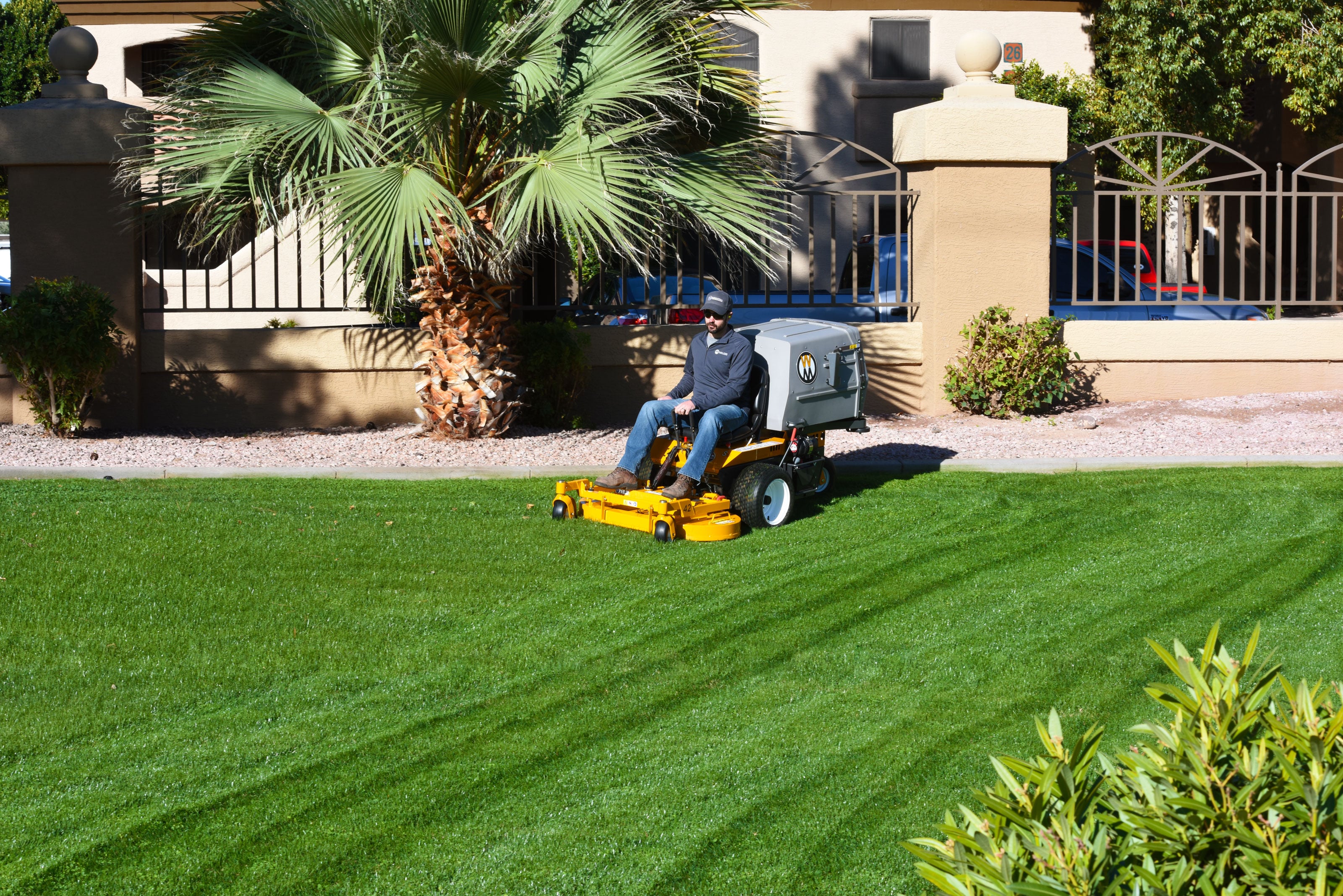 Walker S18 Mowing A Beautifully Striped Lawn Beside Landscaped Garden Beds