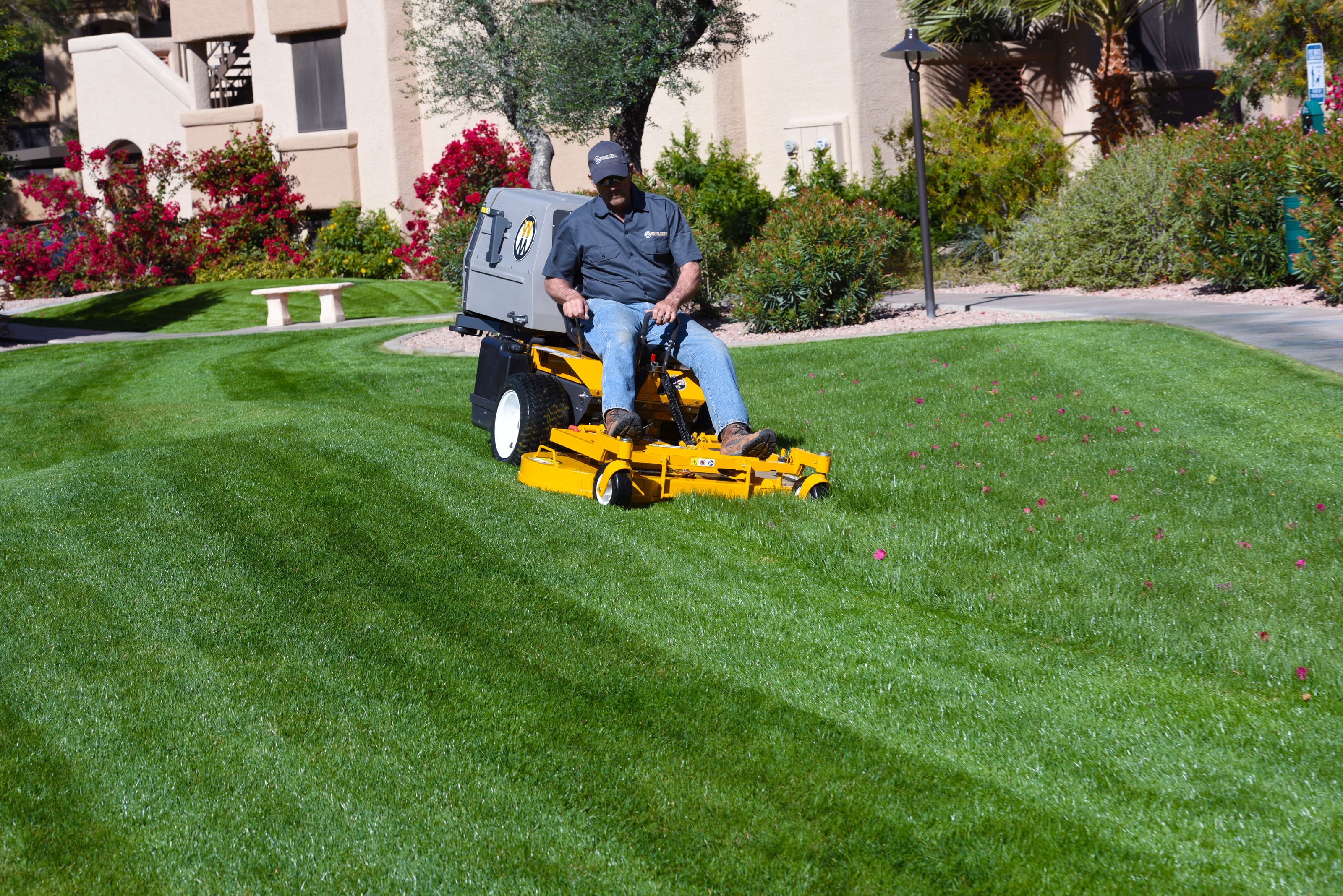 Walker S18 Mowing A Striped Residential Lawn Bordered By Mature Trees And Garden Beds